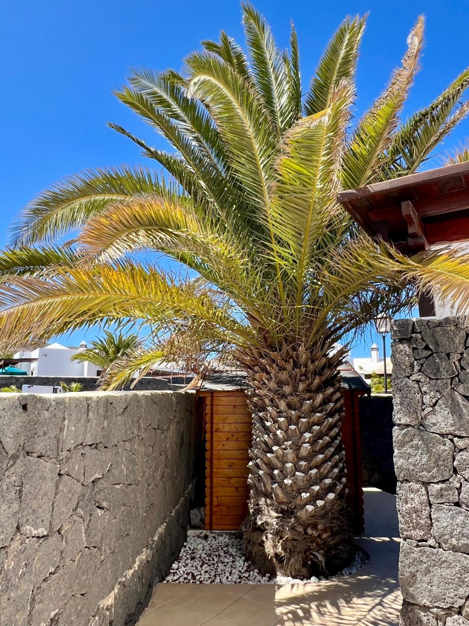 Villa Atienza 99 Playa Blanca  Eksteriør bilde